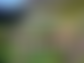 A train in Switzerland