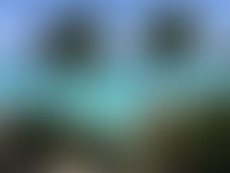 Palm trees on a beach in Mexico