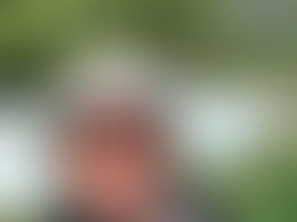 Chasing the Northern Lights in Norway: A Cruise That’s Truly Unforgettable