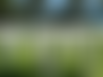 Normandy: These Endured All and Gave All