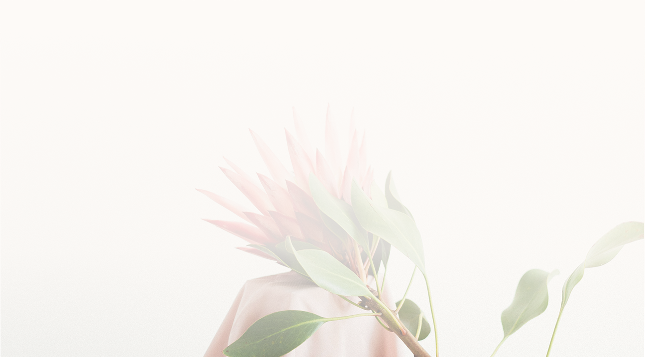 Background A.png