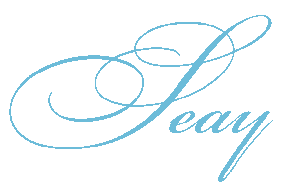 seaylogo.gif