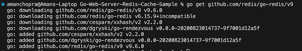 installing go-redis package