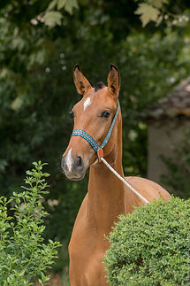quilia portrait.JPG