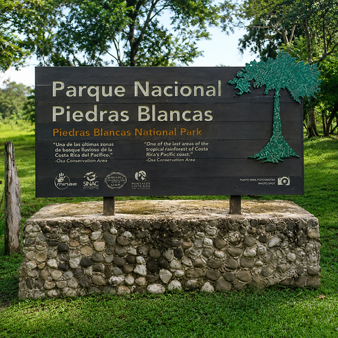 Piedras Blancas 400 x 400.png