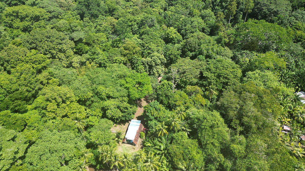 Beach Villa Top View