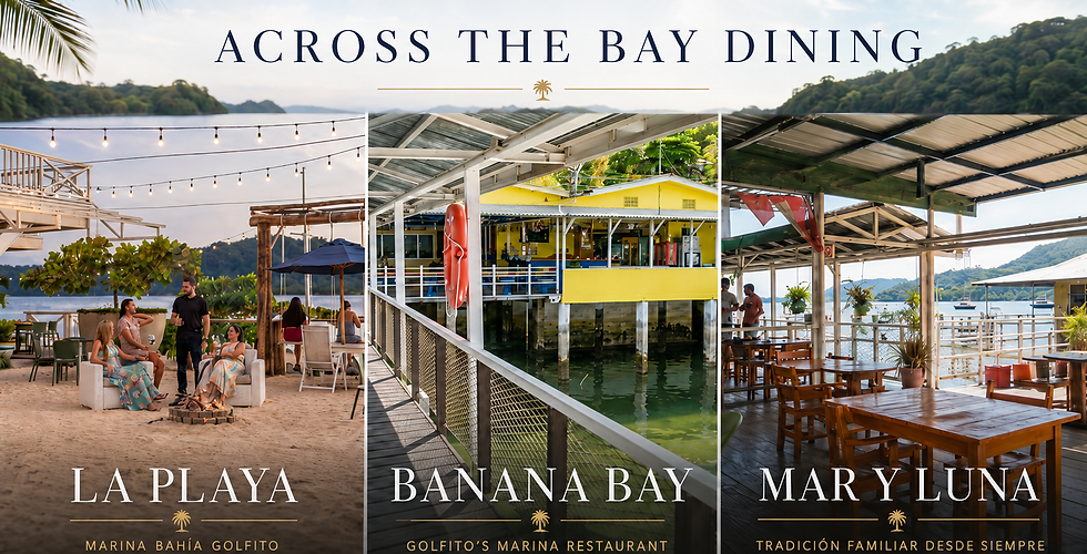 Across the bay Dinning Selection.png