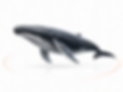 Wal ChatGPT Image 17. Mai 2026, 02_54_57.png