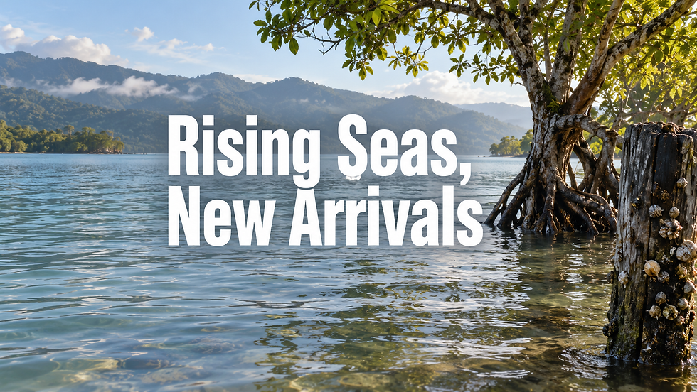 AI-generated editorial illustration of a tidal shoreline with the headline Rising Seas, New Arrivals; not an observed invasion.