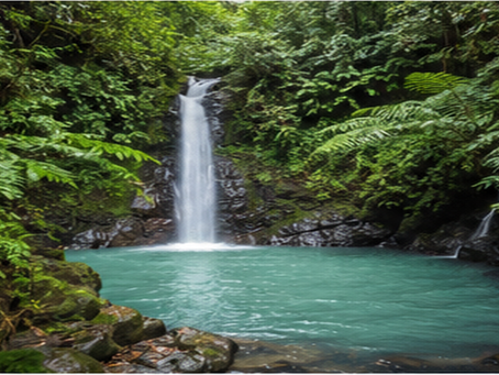 Why Protecting Golfo Dulce Means Protecting the Future!