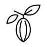07_cacao_recultivation(1).png