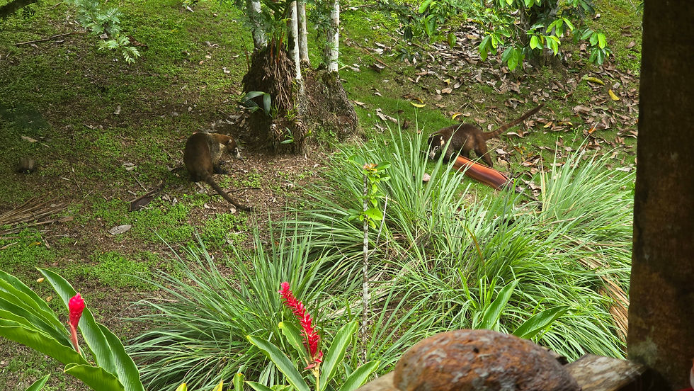 Hidden Bay Retreat Neighbours