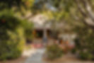 IMG_2610-Topaz-Gigapixel-4X-Edit-2_edited_edited.jpg