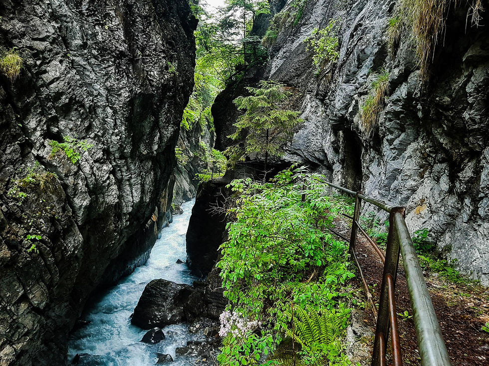 gorges-de-l-avancon_2000.jpg