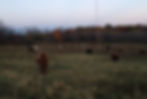 Edited Image 2014-12-15-12:30:23