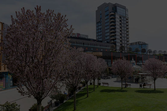 ubc_3_iasi_a_edited.jpg