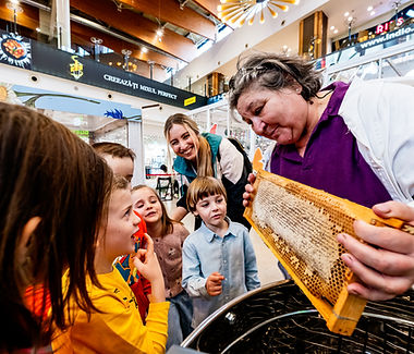 Expoziție educativă de fluturi și albine vii 02.jpg