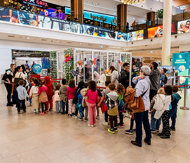 Expoziție educativă de fluturi și albine vii 03.jpg