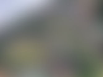 Green and brown mountain side