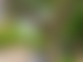 धर्मराज जी संग आरण्यक तिरुवन्नामलाई का अनुभव - अमिता सिंह