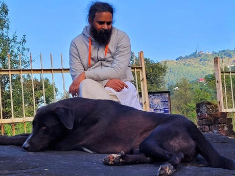 करार की किरचें