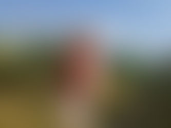 जीवन पथ पर होश का दीप (सुबह का सत्र, 2 जनवरी 2024)