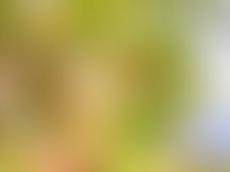 प्रेमरंजित हाथ