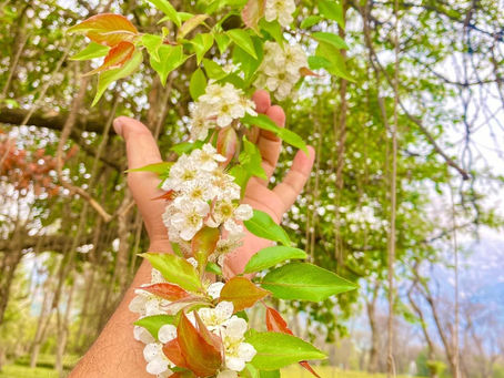 प्रेमरंजित हाथ