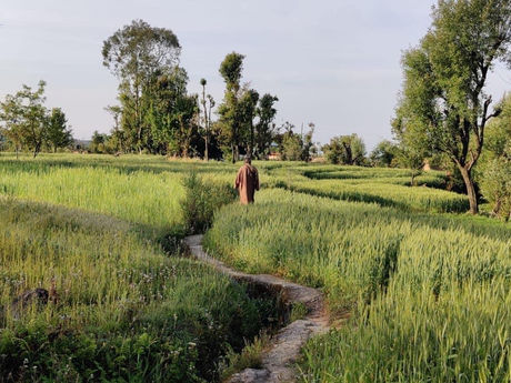 धीमे चलिए