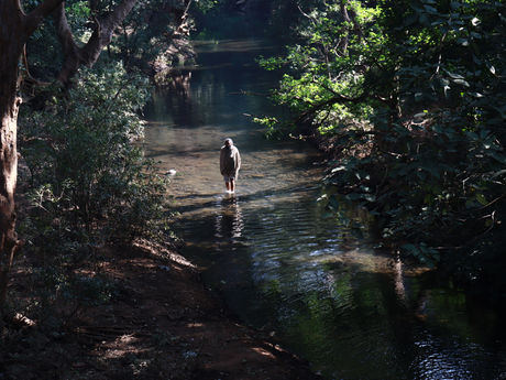 प्रेम समाधि