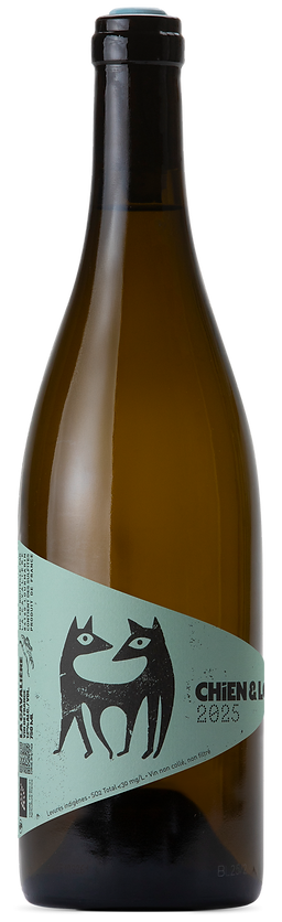 chien-et-loup-blanc.png