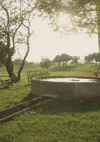 La Cavalière | vin nature | vin bio | polyculture | luberon | terroir | lourmarin | paysan | artisan