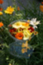 5 Blomster, spiselige2