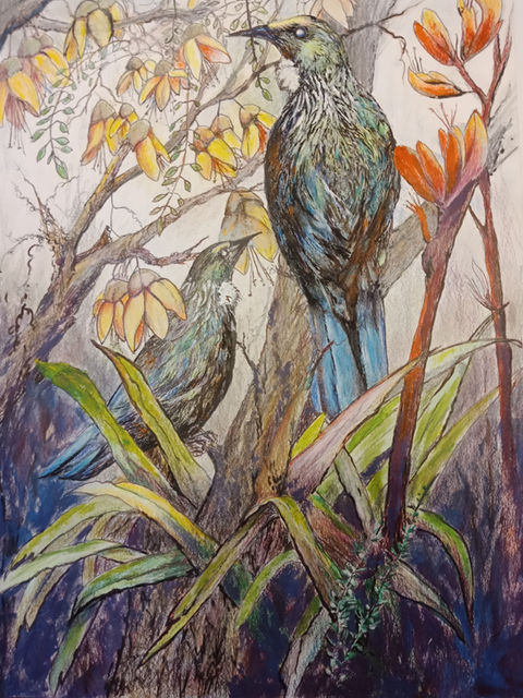 the art of joan new zealand artist tauranga mixed media pastel drawing painting tui bird contemporary art for sale 