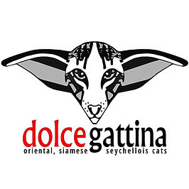 DG małe LOGOkwadrat.jpeg