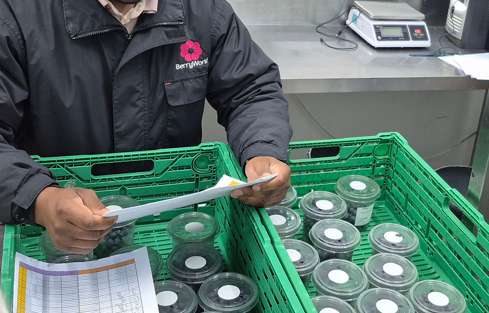 LiVA stickers applied to maintain premium quality