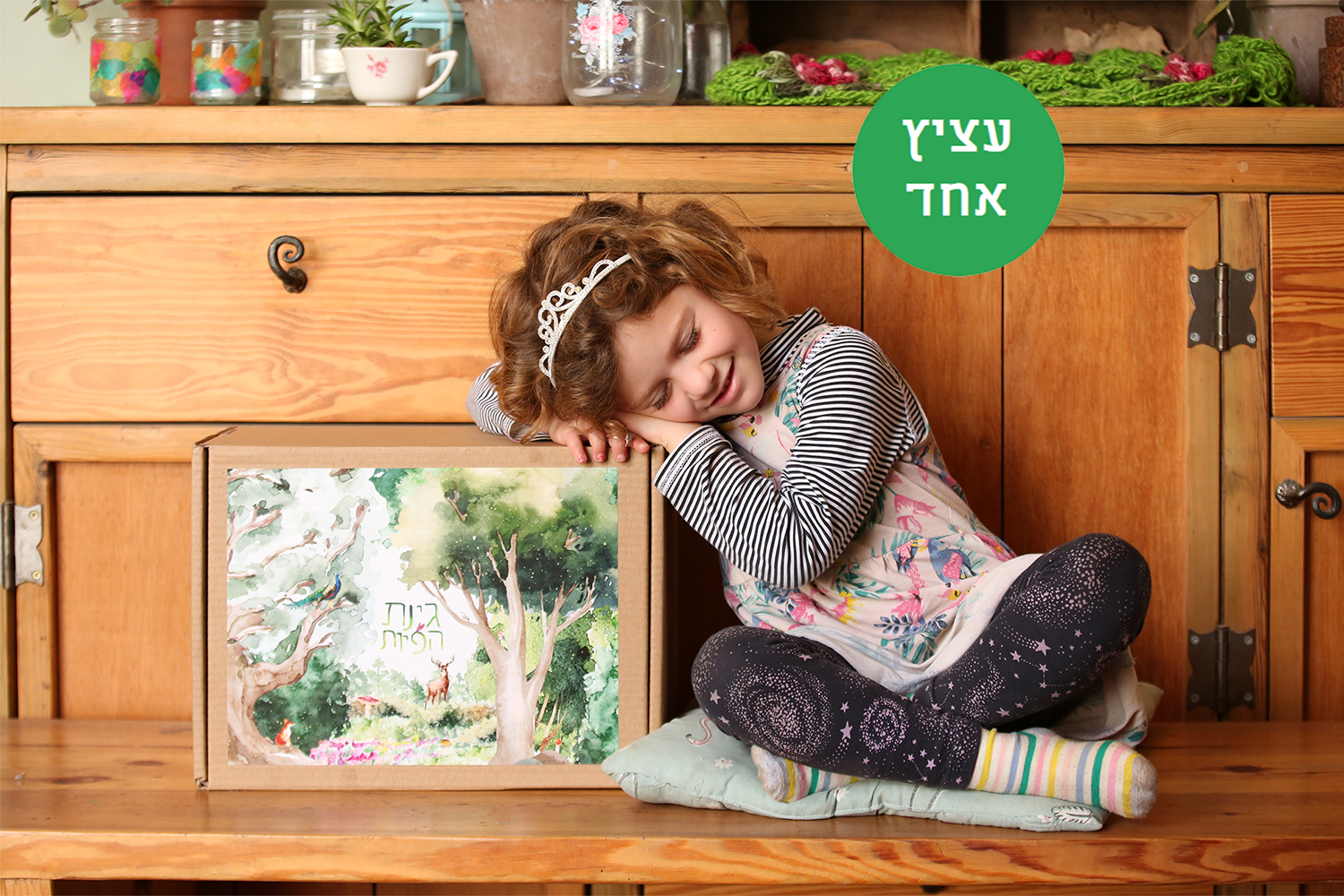 ערכה להכנת גינת פיות