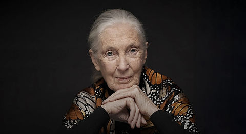 ג'יין גודול - תמונת תדמית שלה כאישה מבוגרת