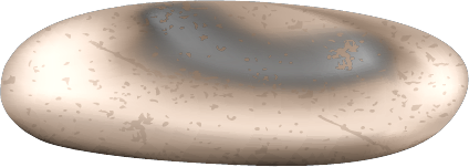 חלוק נחל לבן