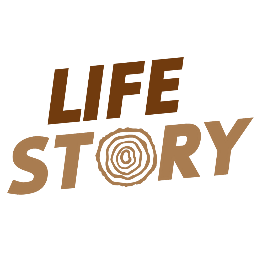 LifeStory by PITCH