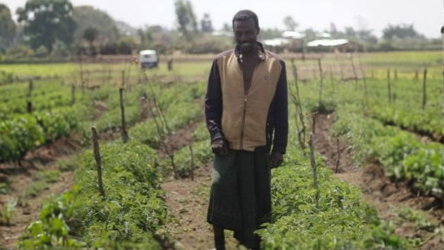 Mohammed Ali in his field