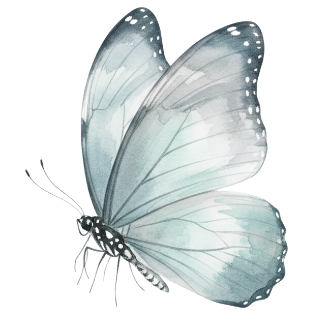 איור בצבעי מים של פרפר