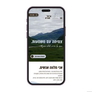 אריאל שטרית