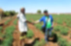 A volunteer and a farmer shaking hands in the field