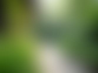 Discover the Phutaya Wellness Retreat: A Sanctuary of Transformation