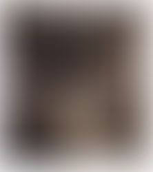 Discoverer of the Only Known Photo of Lincoln in His Coffin Dies