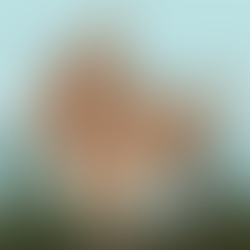 Bigfoot on the East Coast: The Legend Lives in Unexpected Places