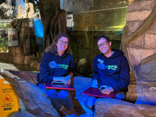 How a Rescued Tortoise and a $10 Ticket Day Are Making Waves at Hill City Aqua Zoo