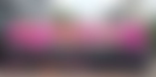 Earthfest Geography Rewards Trip