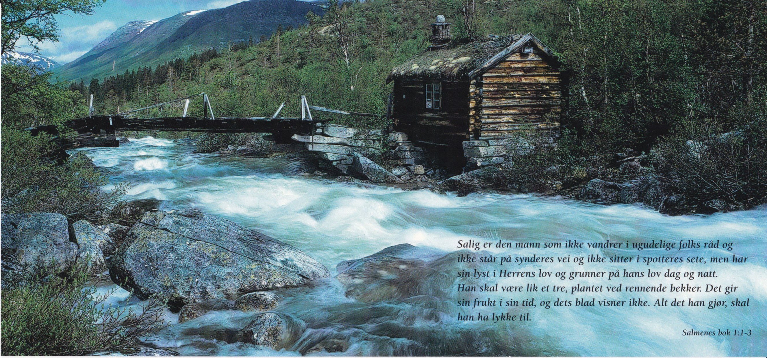 Kort med Skriftsted/visdomsord